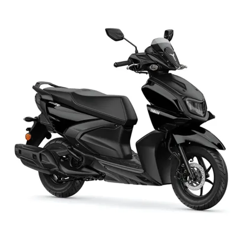 RayZR