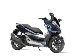 NSS 300