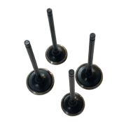 Bajaj Pulsar RS 200 Subap Takımı