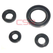 Bajaj Pulsar RS 200 Keçe Takımı