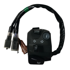 TVS Raider 125 Kumanda Paneli Sol