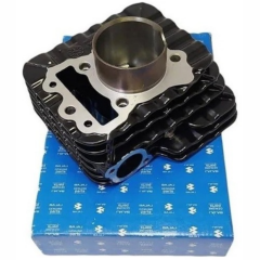 Bajaj Pulsar NS 160 Silindir Takımı