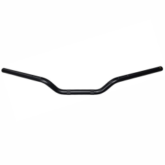 TVS Raider 125 Gidon Orjinal