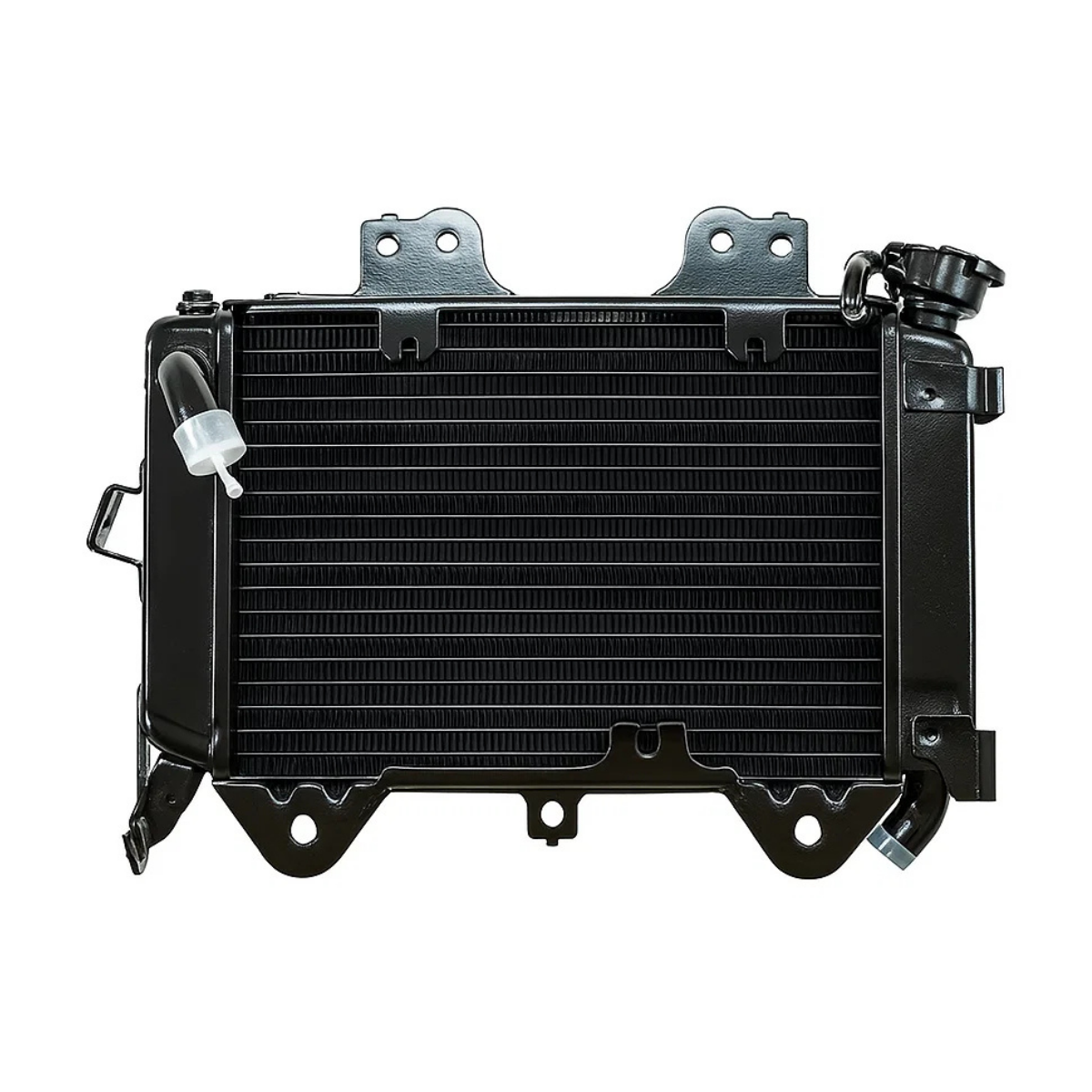Bajaj NS 200 Radyatör Komple