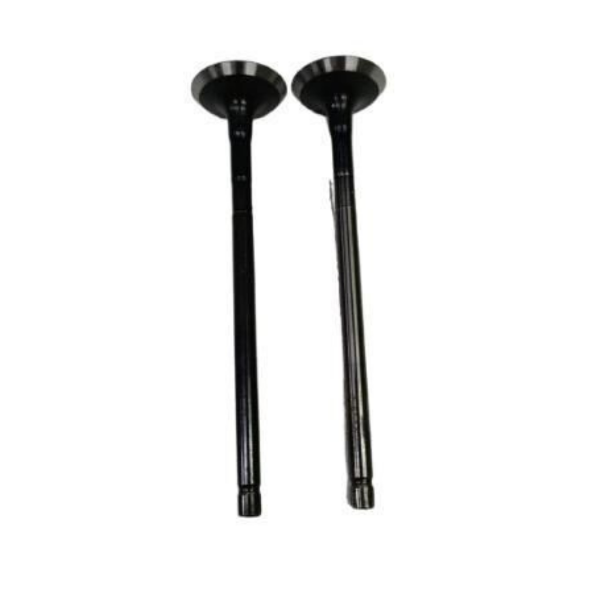 Bajaj Pulsar NS 125 Emme Supap 2 Adet Orjınal