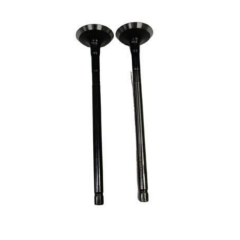 Bajaj Pulsar NS 125 Emme Supap 2 Adet Orjınal