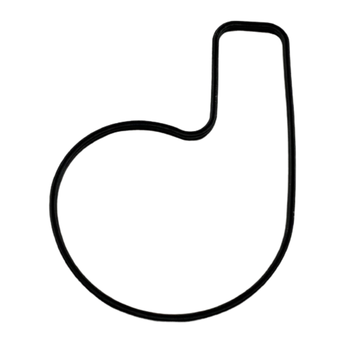 Bajaj Dominar 250 Su Pompa Kapak Oringi Orjinal