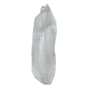 Yamaha XMAX Sinyal Camı Ön Sağ (2018)