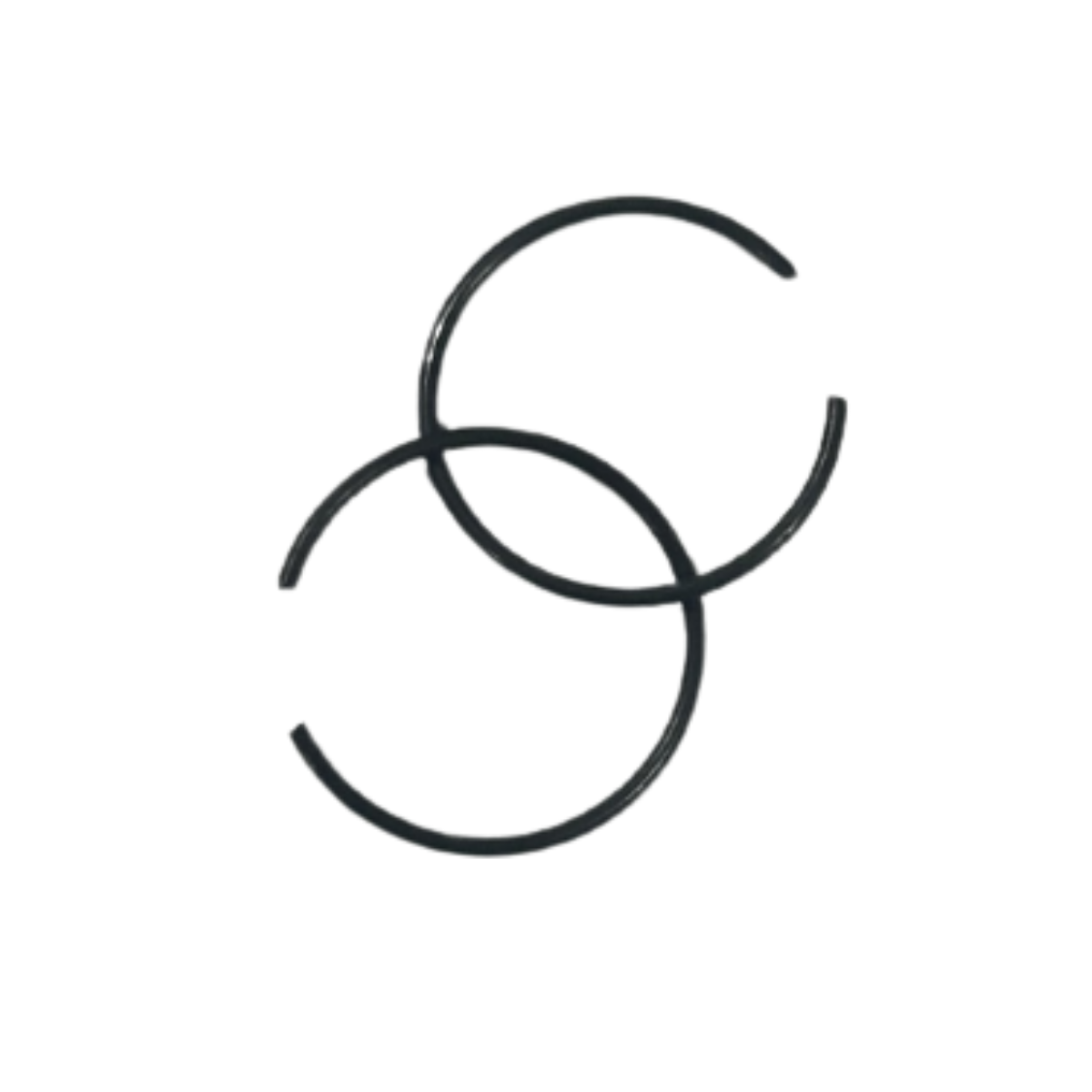 CF SR 250 Perno Segmanı Orjinal E5