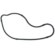 CF SR 250 Su Pompa Kapak Oringi Orjinal E5