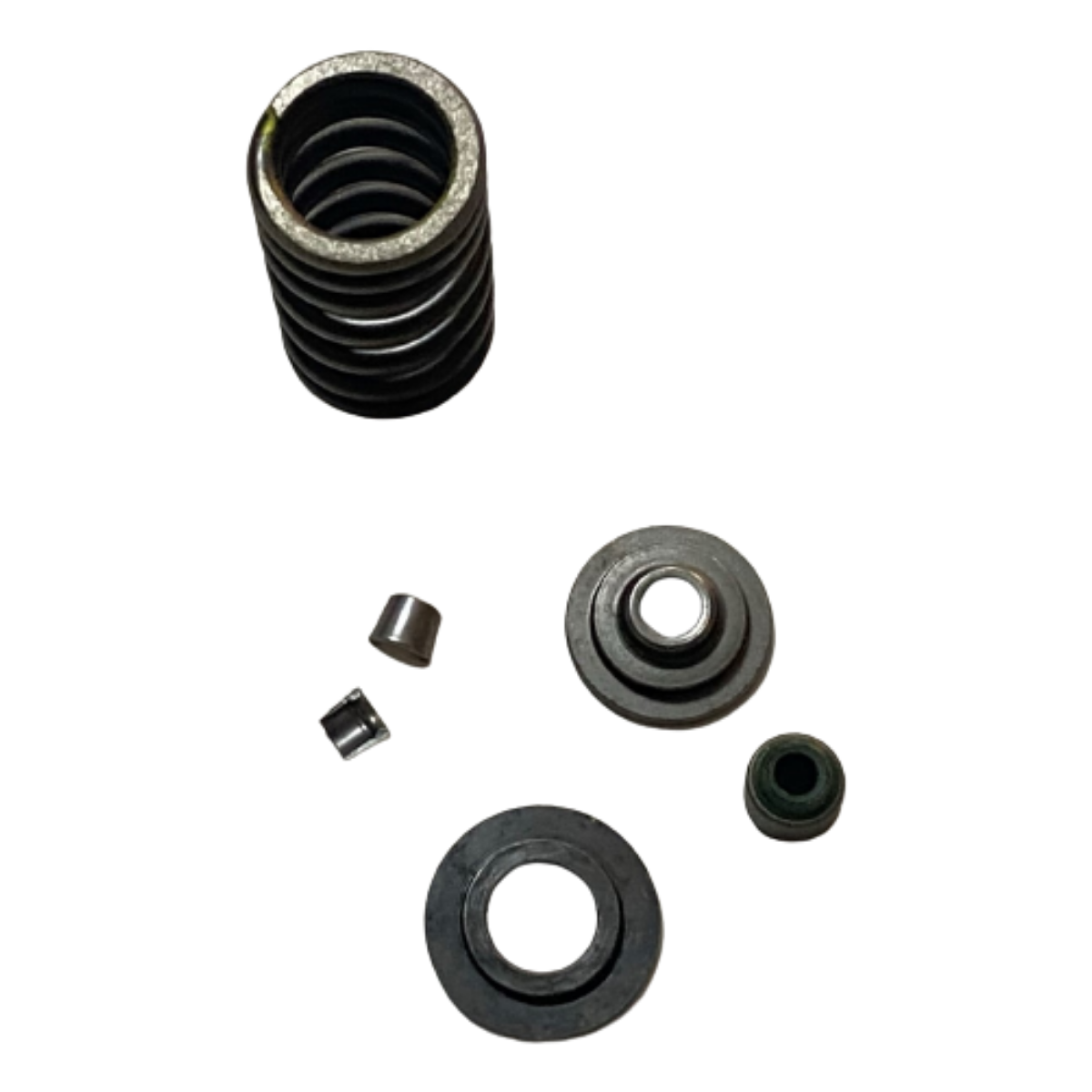 Bajaj Pulsar RS 200 Subap Keçe Yay Takımı Orjinal