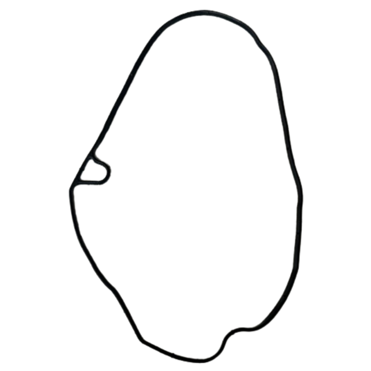 Honda PCX Külbütör Oringi Orjinal/2021-2024