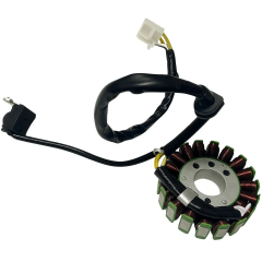 TVS RTR 200 Statör E4