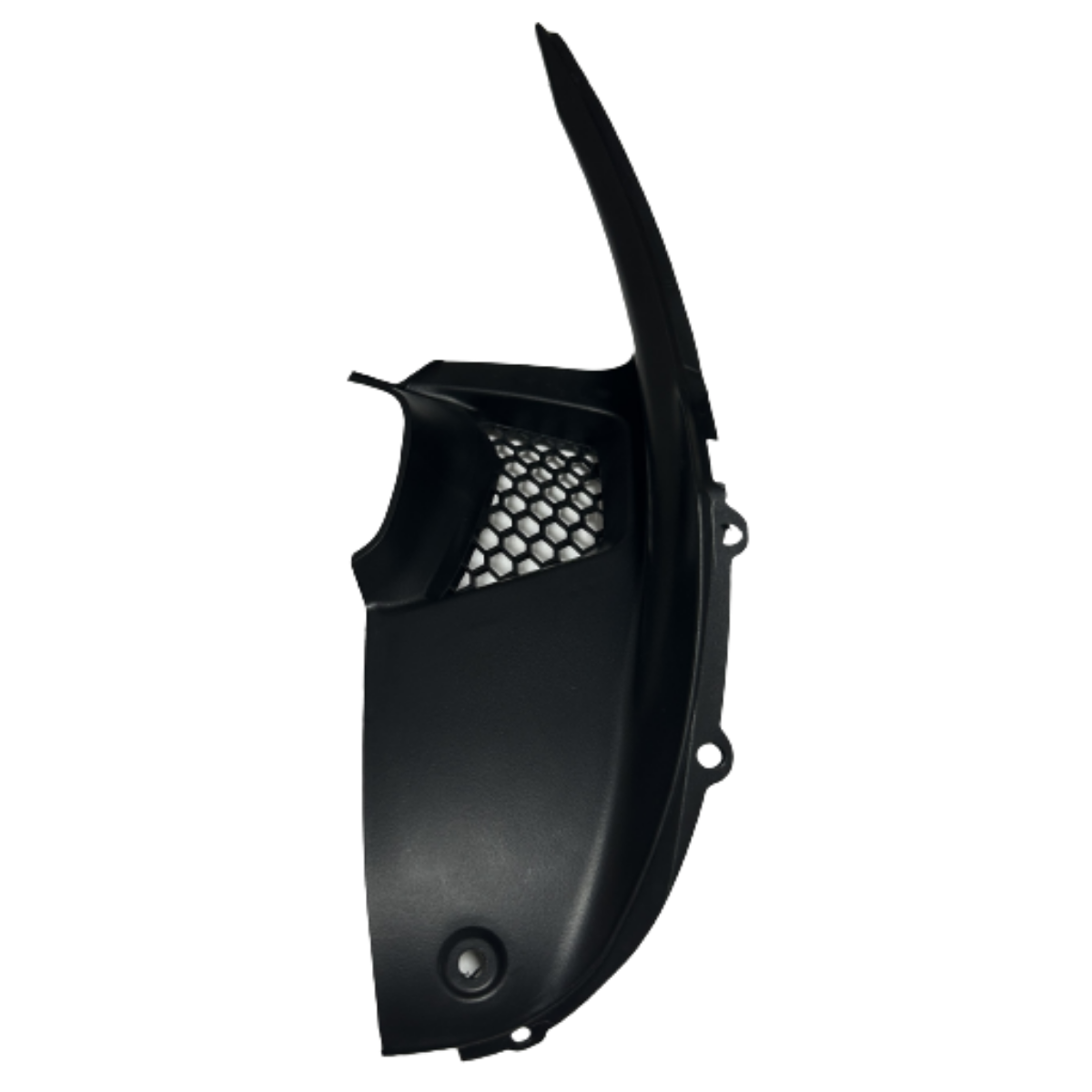 TVS RTR 200 Sağ Panzolot Orjinal E4