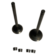 Honda PCX Subap Takım Tırnaklı