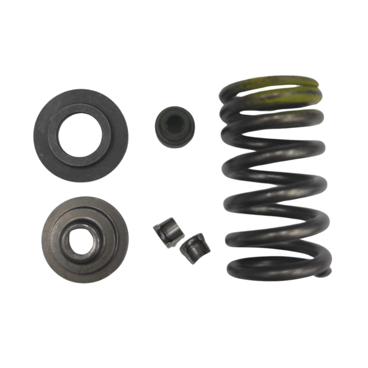 Bajaj Pulsar NS 200 Subap Keçe Yay Takımı