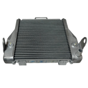 Honda Forza 250 Radyatör (2021-22)