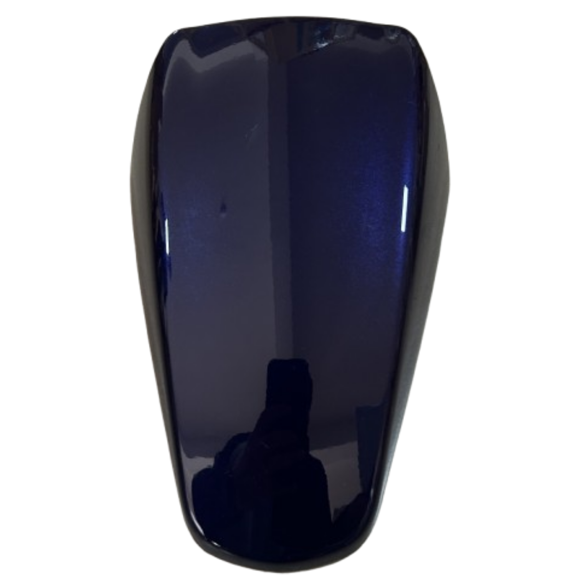 TVS Raider Ön Çamurluk Mavi Orjinal