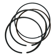 Honda Forza 250 Segman (2021-22)