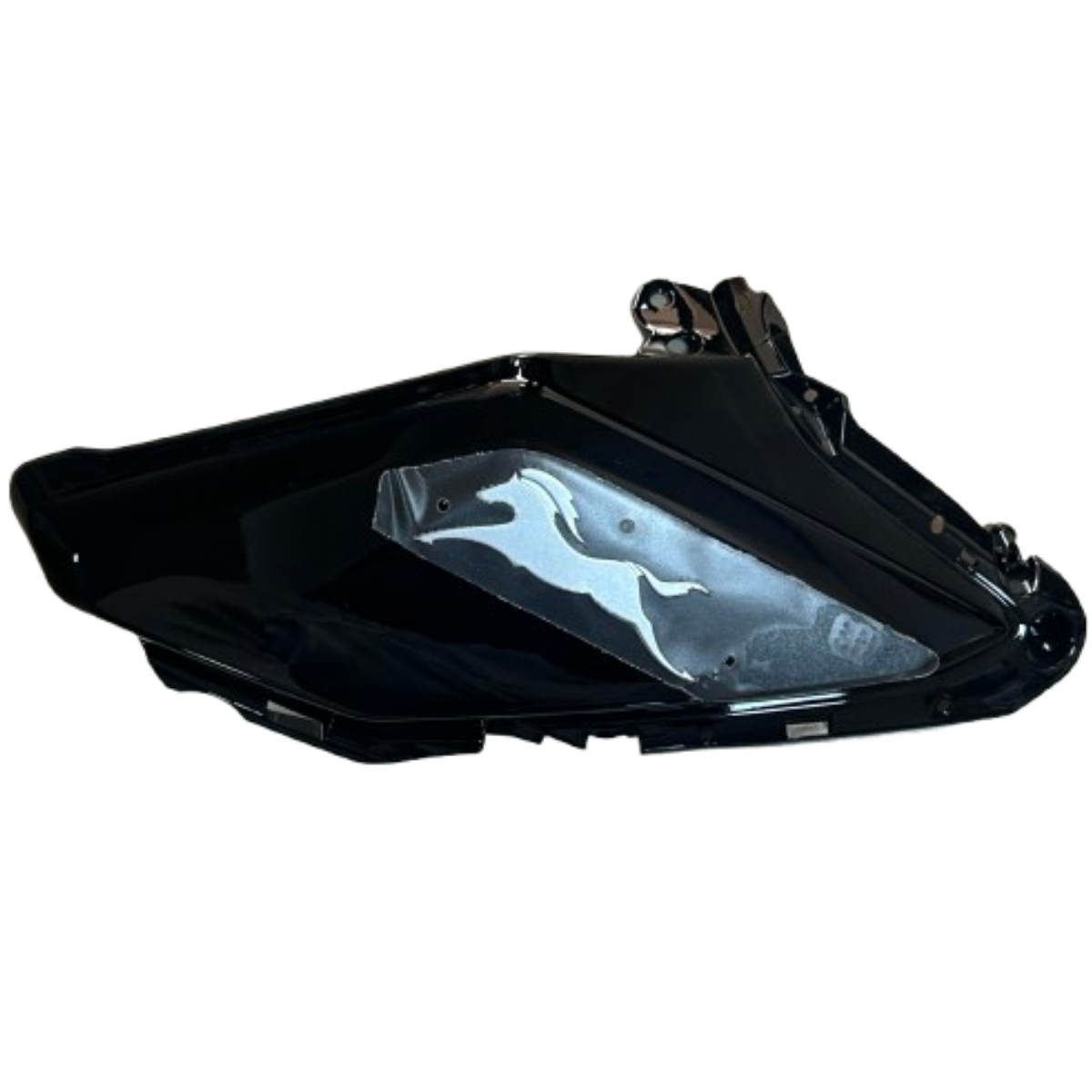 TVS Raider Sol Depo Panzolotu Büyük Orjinal