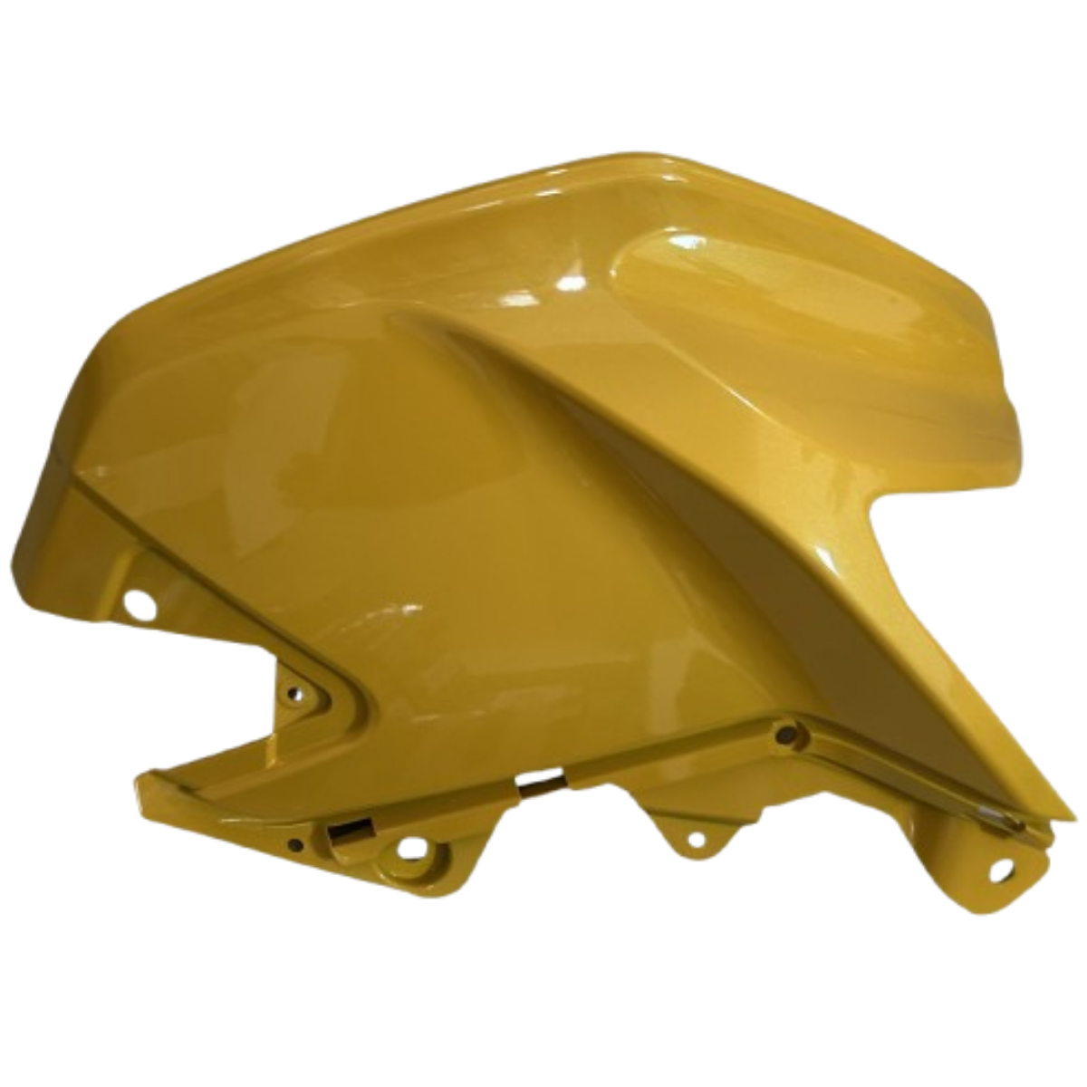 TVS Raider Sağ Depo Sarı Orjinal