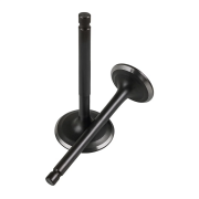 RKS Spontini 110 Supap Takımı Oem