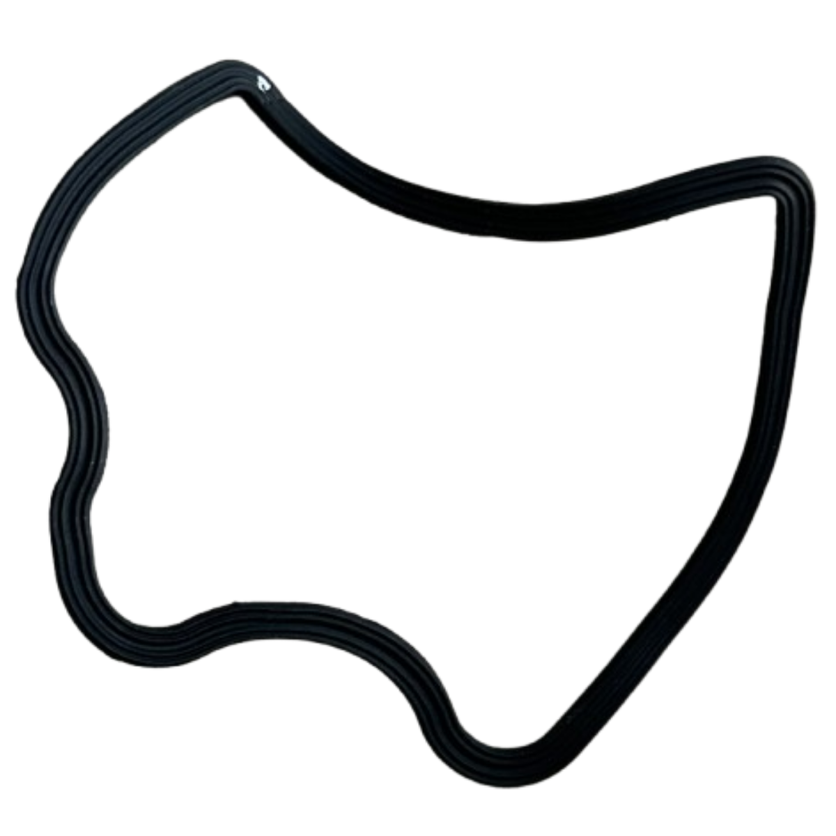 TVS Raider Külbütör Kapak Oringi