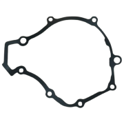 TVS Raider Manyeto Kapak Contası Orjinal