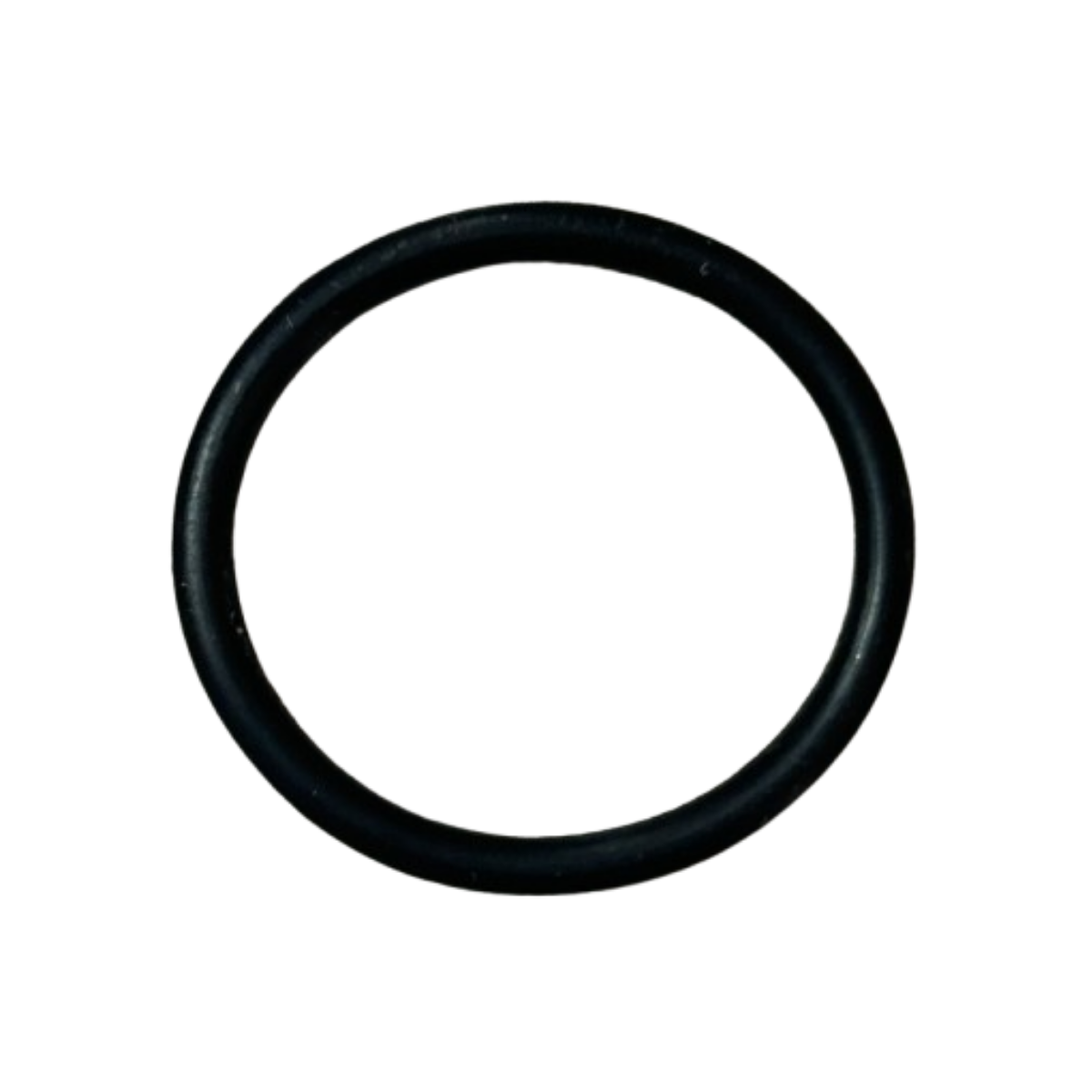 TVS Raider Yağ Tapa Oringi Orjinal