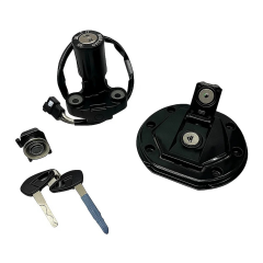 Bajaj Dominar D250 Kontak Seti