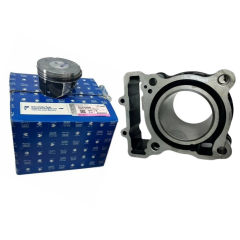 Bajaj Dominar D250 Silindir Set Komple