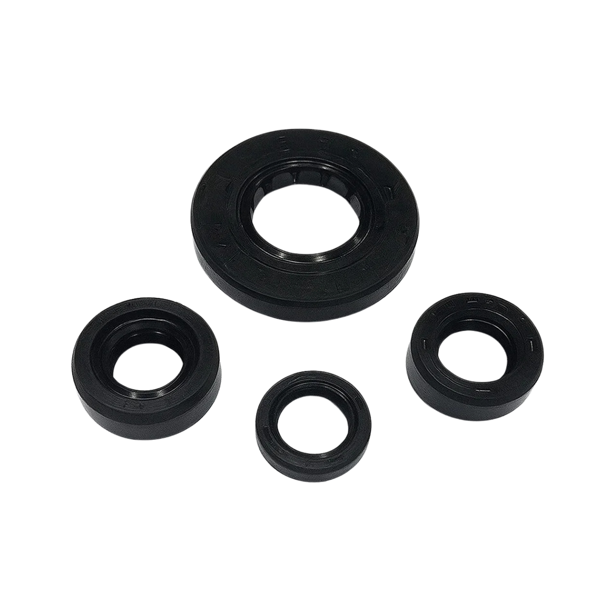 TVS Apache RTR 180 Keçe Seti 4 Parça