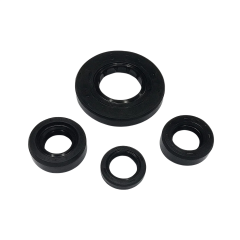 TVS Apache RTR 180 Keçe Seti 4 Parça