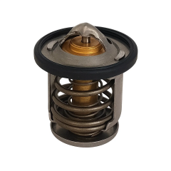 Bajaj Pulsar NS 200 Termostat