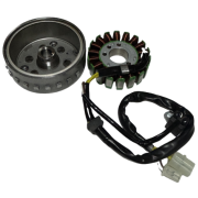 TVS RTR 200 Statör Ve Manyeto Euro 5 Orjinal