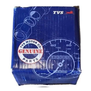 TVS RTR 200 Statör Ve Manyeto Euro 5 Orjinal